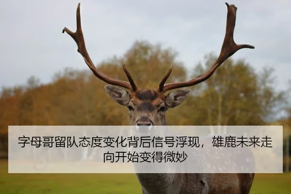 字母哥留队态度变化背后信号浮现，雄鹿未来走向开始变得微妙